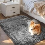 Small Rug Upgrade Non Slip Throw Bedside Area Rugs, Fluffy Soft Grey Mini Bedroom Carpet, Affordable Door Entryway Indoor Inside Front Entrance Dog 2x3 Mat, Home Decor Aesthetic